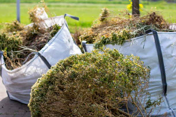 Best Professional Junk Removal  in Webberville, MI